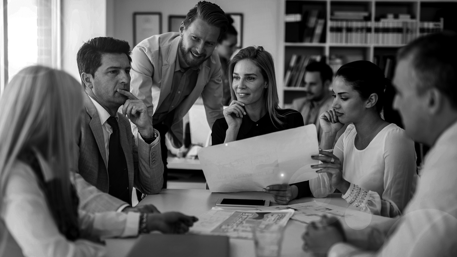 Customer Roles | PyanGo