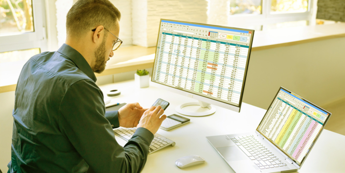 Auditor Employee And Data Analyst